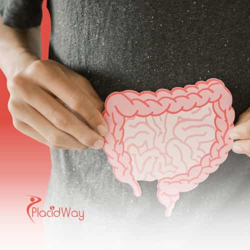 Gastric Sleeve Surgery from Toronto to Tijuana, Mexico – A Path to Lasting Weight Loss